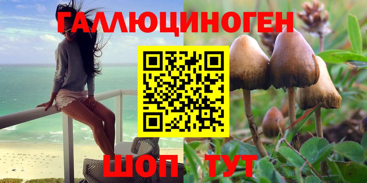 Псилоцибиновые грибы GOLDEN TEACHER  Вход с VPN  Амурск 
